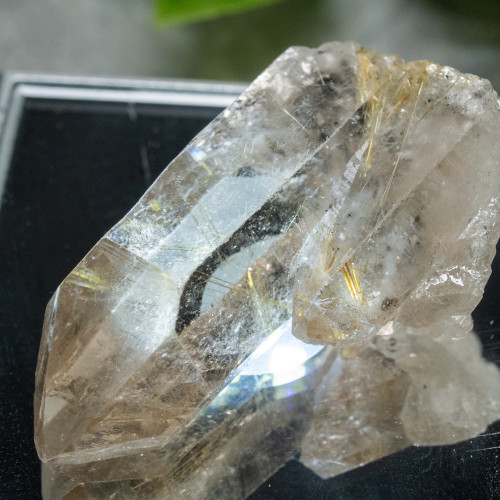 Rutile in Quartz #9