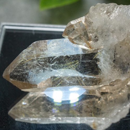 Rutile in Quartz #9