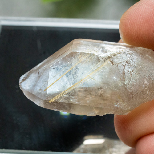 Rutile in Quartz #8