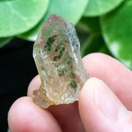 Rutile in Quartz #7