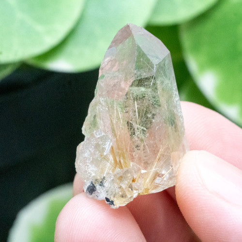 Rutile in Quartz #7