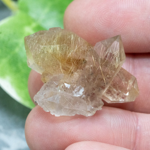 Rutile in Quartz #6