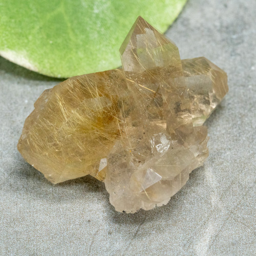 Rutile in Quartz #6