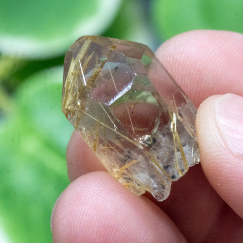 Rutile in Quartz #5