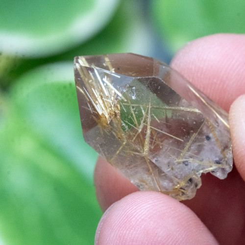 Rutile in Quartz #5