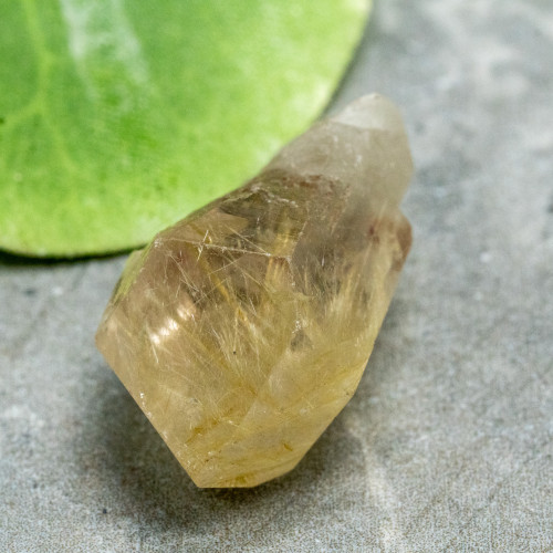 Rutile in Quartz #4