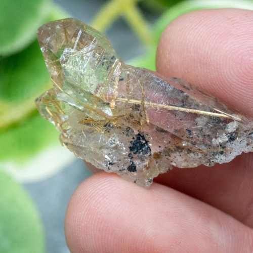 Rutile in Quartz #1