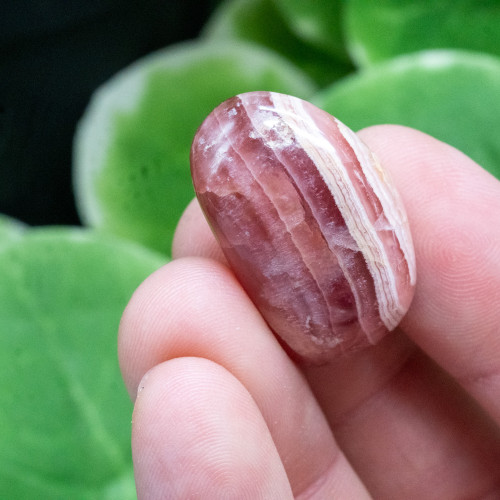 Rhodochrosite Polished #9