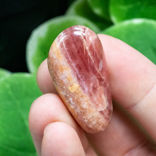 Rhodochrosite Polished #8