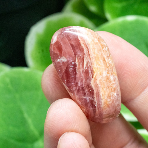 Rhodochrosite Polished #8