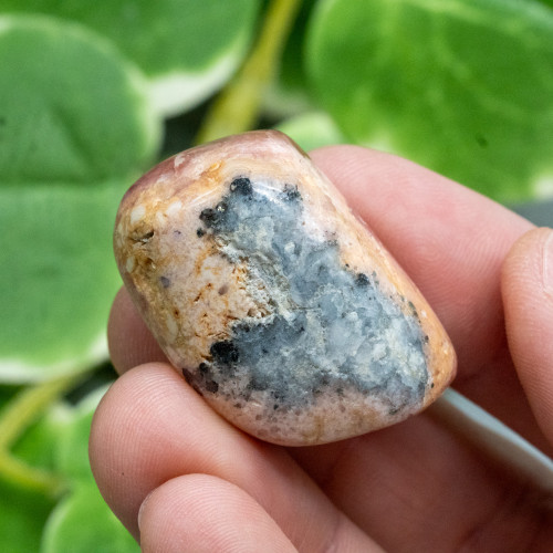 Rhodochrosite Polished #5