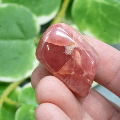 Rhodochrosite Polished #5