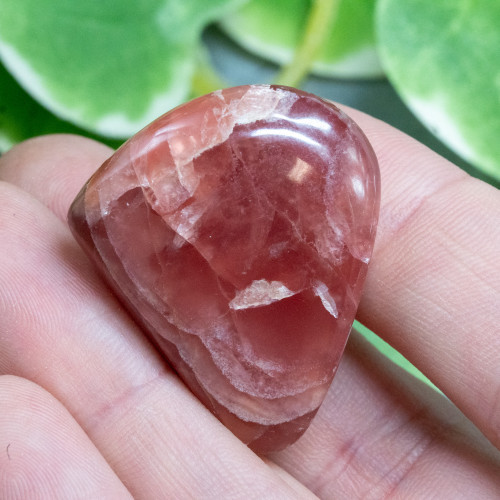 Rhodochrosite Polished #1