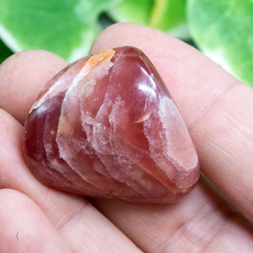 Rhodochrosite Polished #1