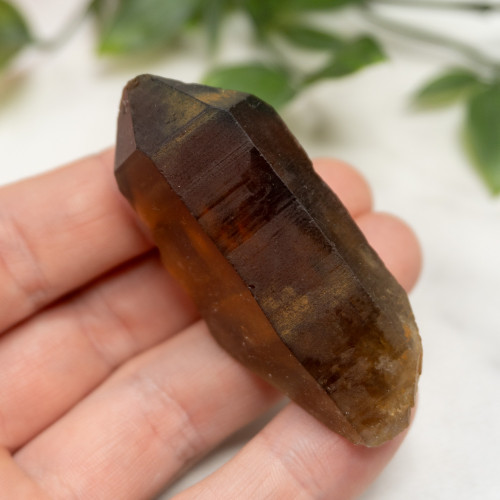 Zambian Citrine #17