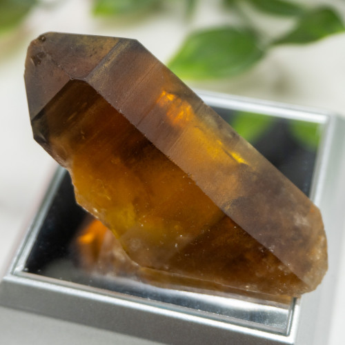 Zambian Citrine #17