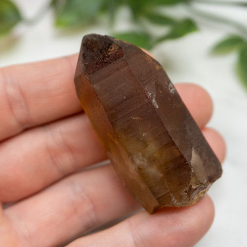 Zambian Citrine #16