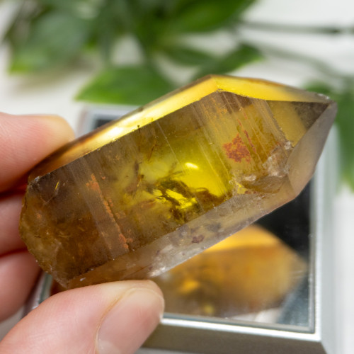 Zambian Citrine #16