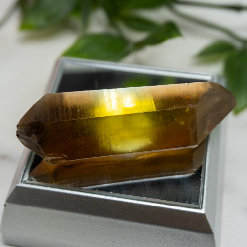 Zambian Citrine #15