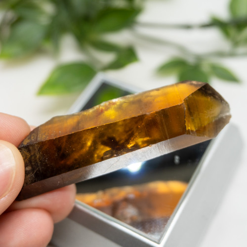 Zambian Citrine #14