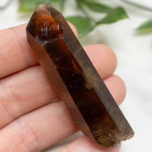 Zambian Citrine #14