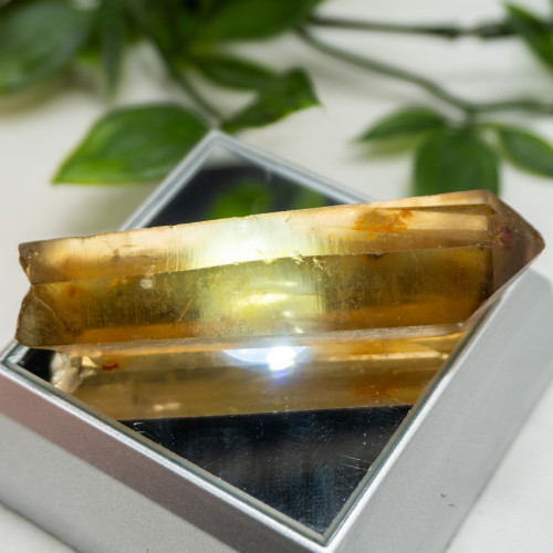 Zambian Citrine #13