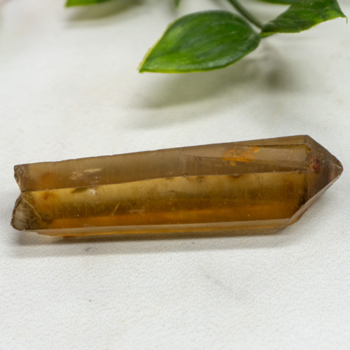 Zambian Citrine #13