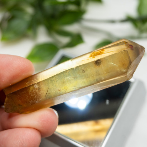 Zambian Citrine #13