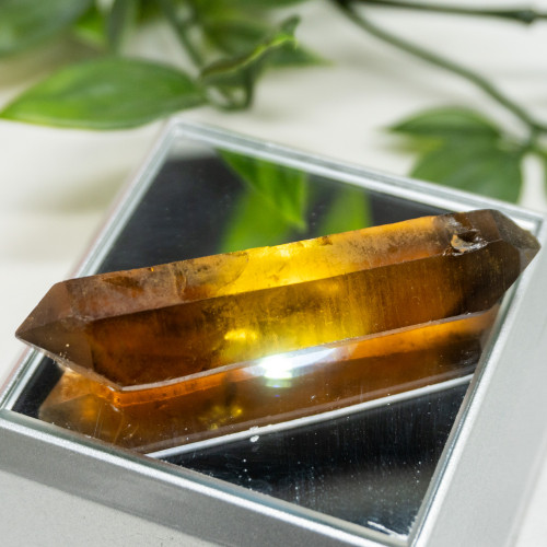 Zambian Citrine #12