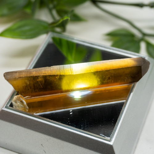 Zambian Citrine #11