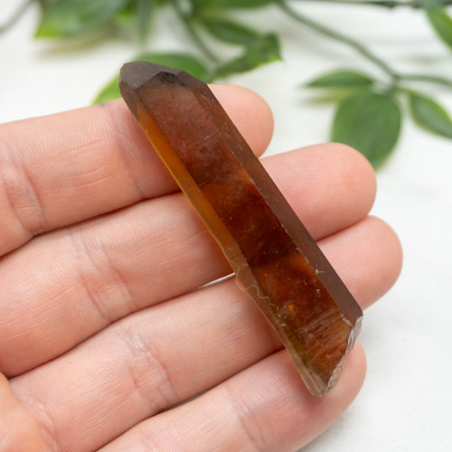 Zambian Citrine #11