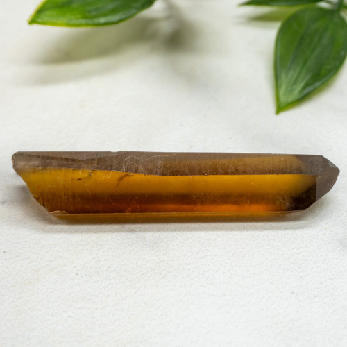 Zambian Citrine #11
