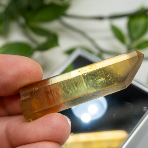 Zambian Citrine #10