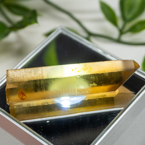 Zambian Citrine #10