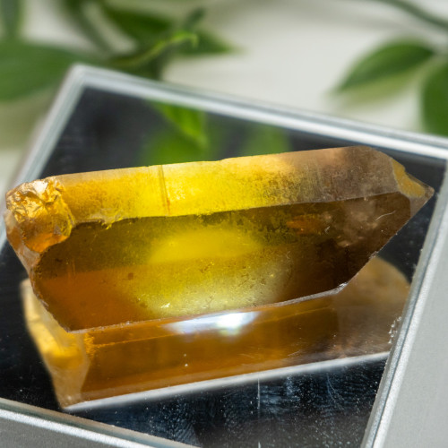 Zambian Citrine #8