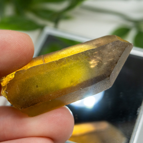 Zambian Citrine #8