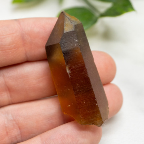 Zambian Citrine #8