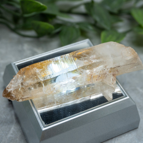 Colombian Lemurian Quartz #11