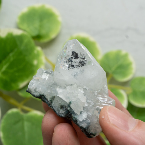 Apophyllite #8