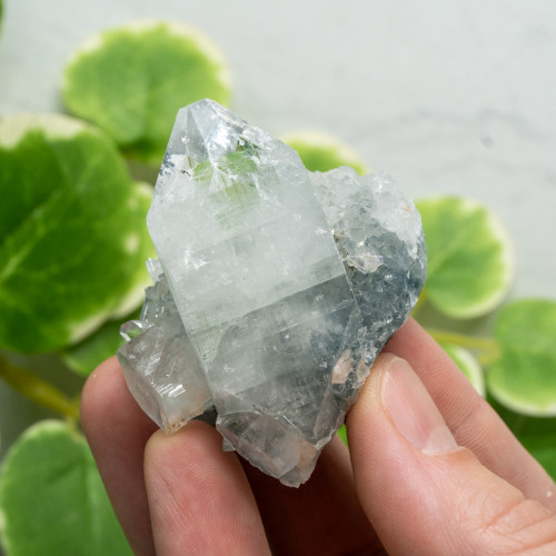 Apophyllite #8
