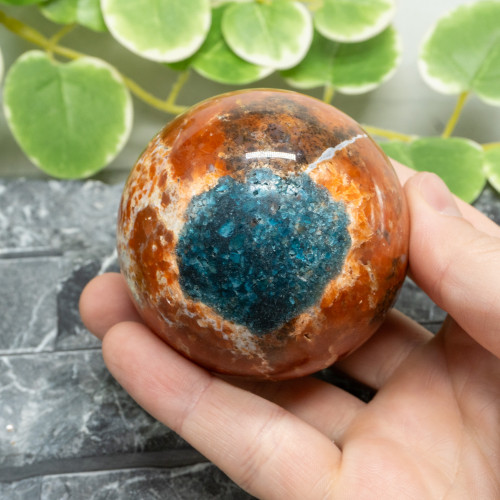 Blue Apatite in Orange Calcite Sphere #1