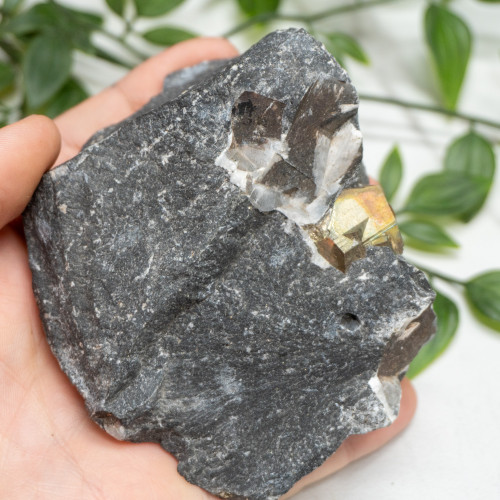 Pyrite in Shale #2