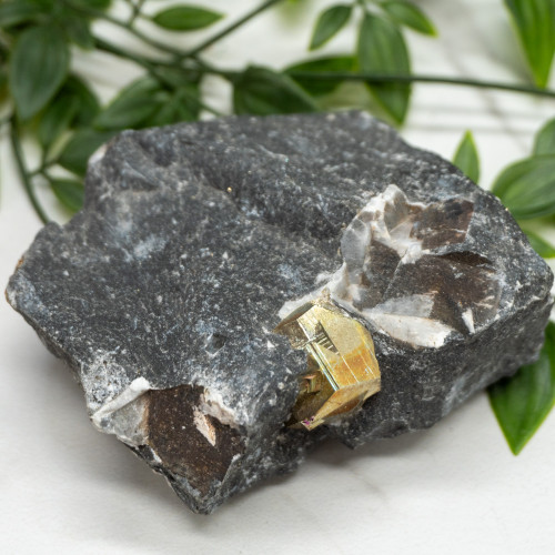 Pyrite in Shale #2