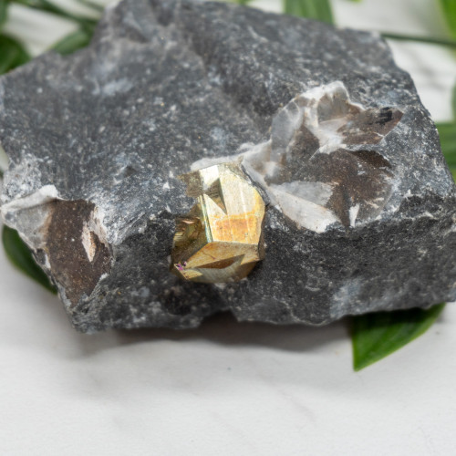 Pyrite in Shale #2