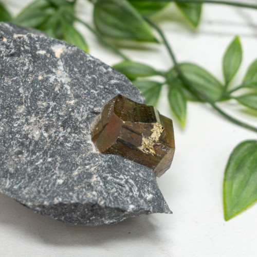 Pyrite in Shale #1