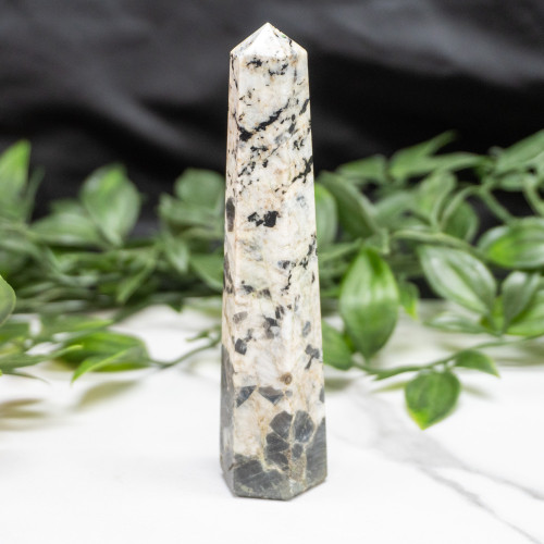 Blue Jay Sapphire Tower #9