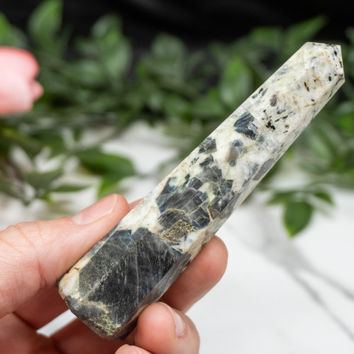 Blue Jay Sapphire Tower #9