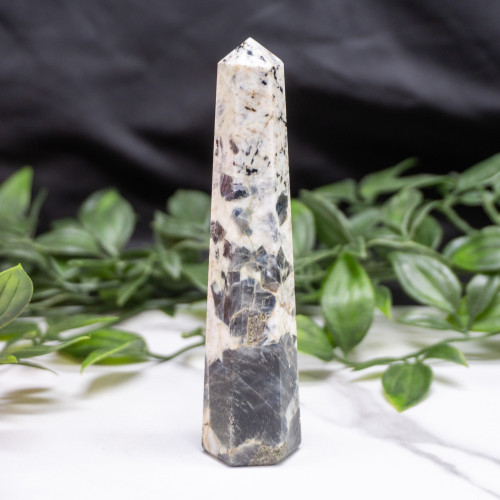 Blue Jay Sapphire Tower #9