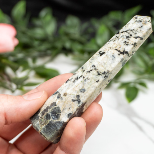 Blue Jay Sapphire Tower #9