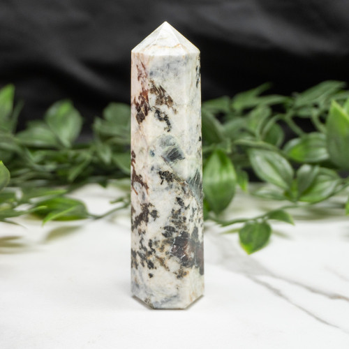 Blue Jay Sapphire Tower #8